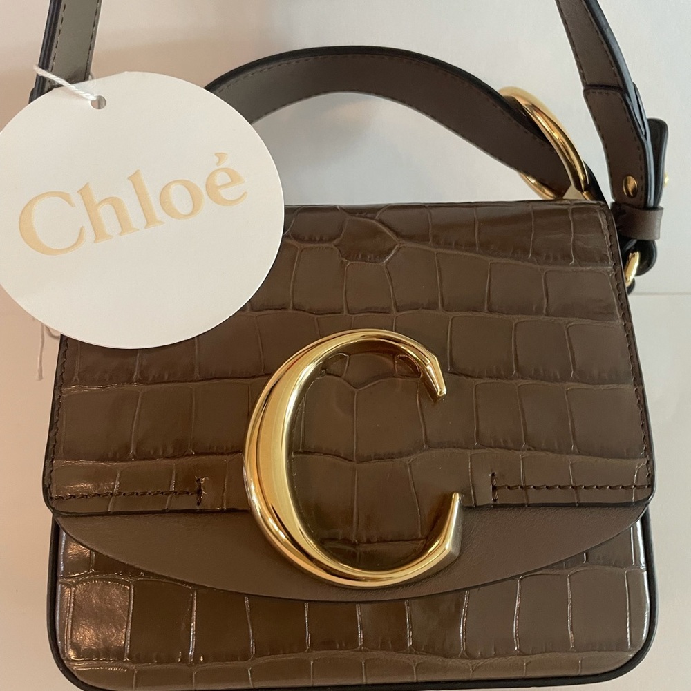 Chloe C misty Forest mini bag New with tags!